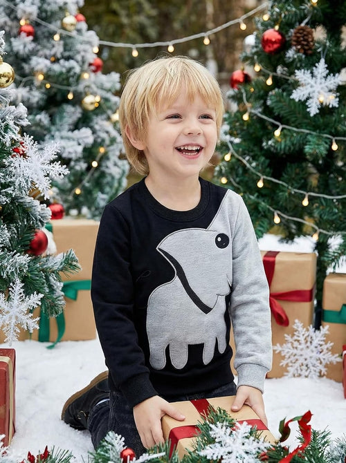 Boys Sweatshirts Cute Elephant Shirts Clothes Kids Pullover Hoodie Toddler Long Sleeve Cotton Sweatshirt Sweater