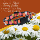 Floral Flower Dog Collar (Large, Daisy)