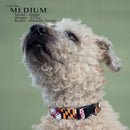 Maryland Flag Dog Collar (Large)